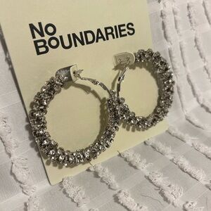 Silver Sparkling Earrings